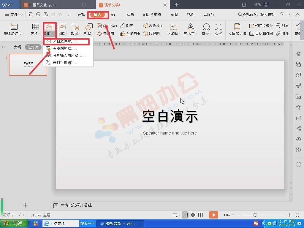 IMG_20230325_133633 IMG_20230325_133633